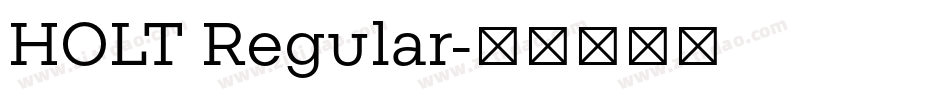 HOLT Regular字体转换